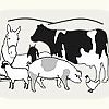 Okehampton Show 2020